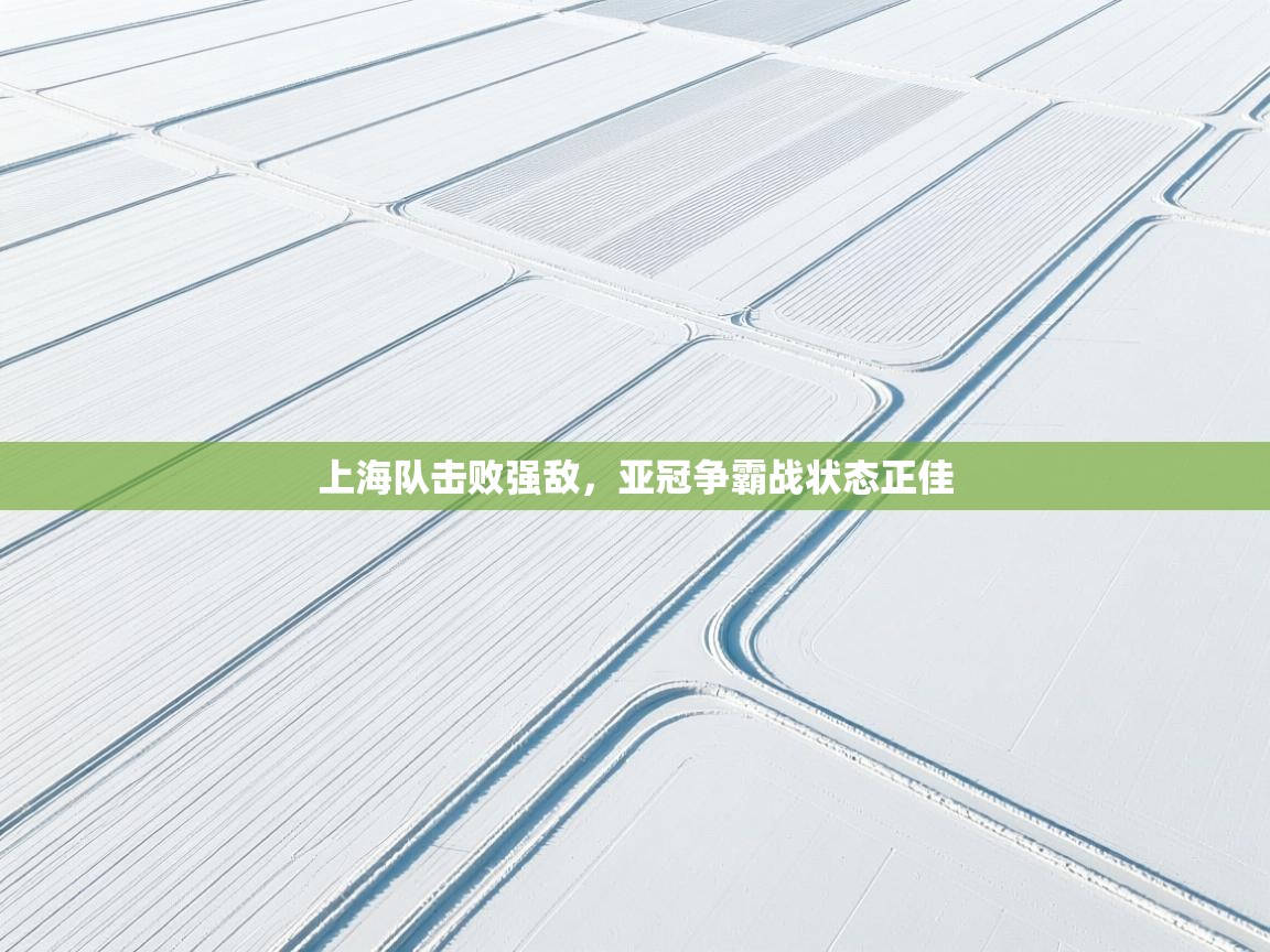 上海队击败强敌，亚冠争霸战状态正佳